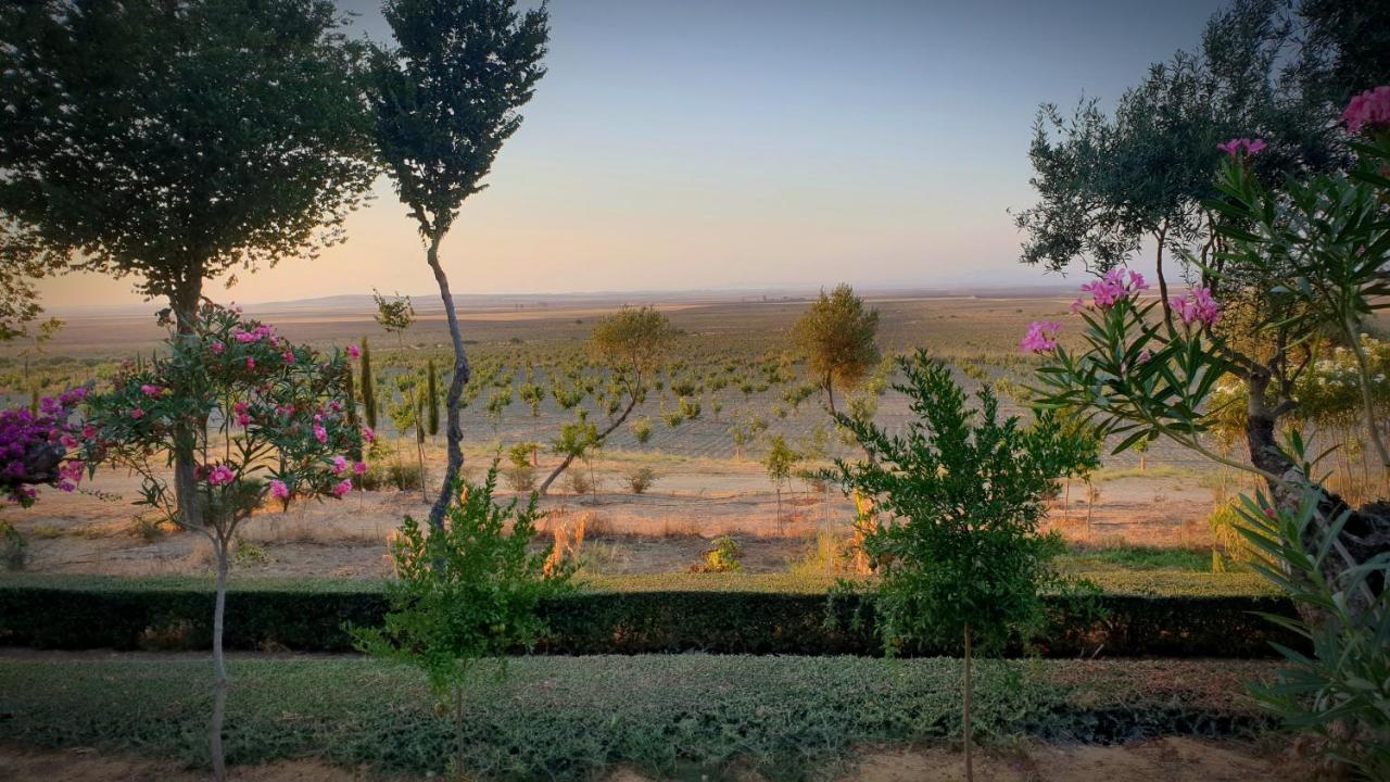 Cortijo El Triguero N-398 Ctra Carmona - El Viso Del Alcor Km 18 Villa Exterior photo