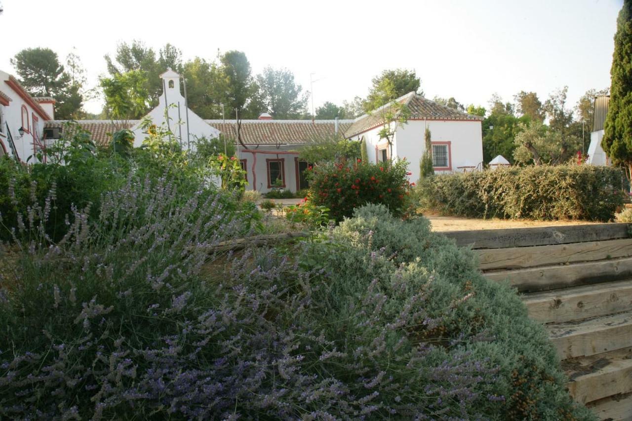 Cortijo El Triguero N-398 Ctra Carmona - El Viso Del Alcor Km 18 Villa Exterior photo